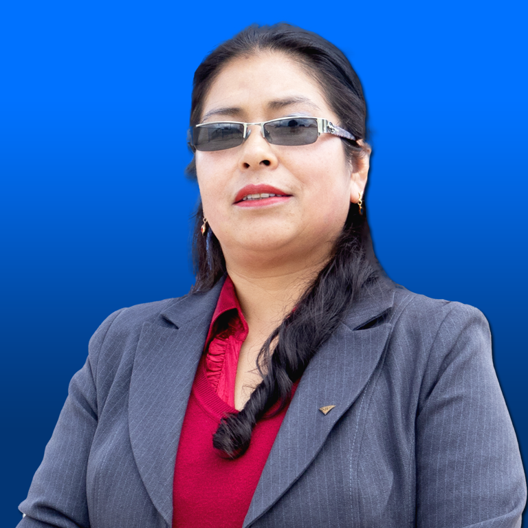 Mg. Ing. Nélida Larico Mendoza